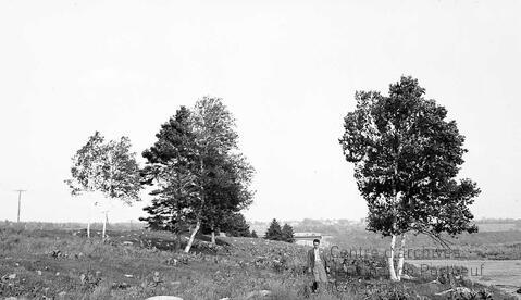 Original Document numérique not accessible