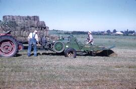 Travail au champ, Ulric Brousseau, Jean-Marie Nadeau, Ferme Brousseau