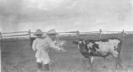 Deux enfants avec une vache