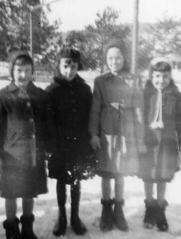 Original Document numérique not accessible