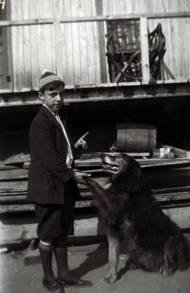 Un chien donne la patte
