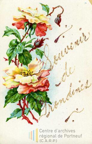Original Document numérique not accessible
