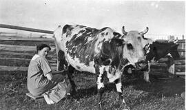 Une femme tirant sa vache