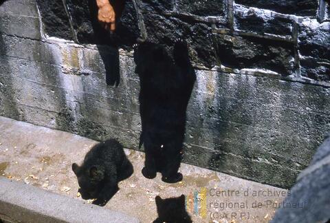 Original Document numérique not accessible