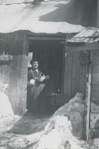 Original Document numérique not accessible