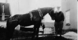 Un homme et un cheval