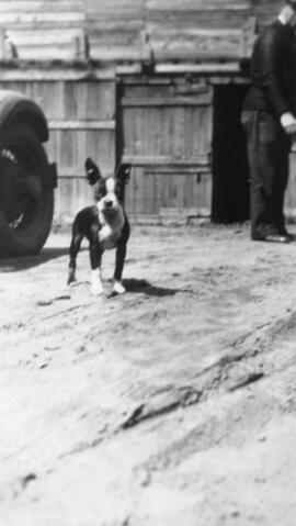 Original Document numérique not accessible