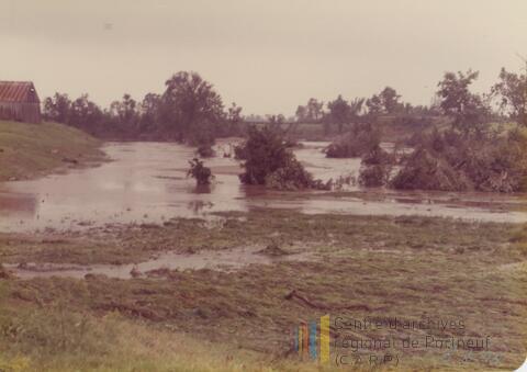 Original Document numérique not accessible