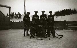 Sept joueurs d'hockey