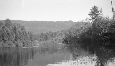 Original Document numérique not accessible