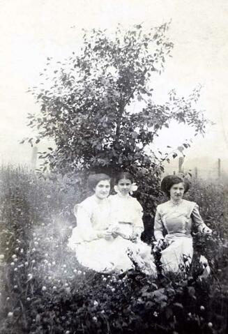 Original Document numérique not accessible