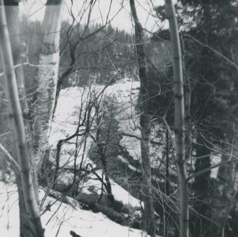 Original Document numérique not accessible