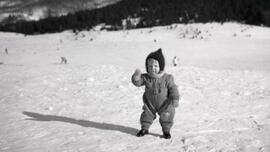 Aux sucres chez M Lefrancois