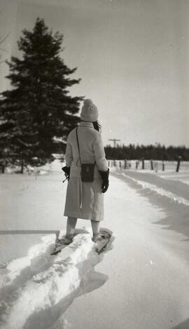 Randonnée en raquette