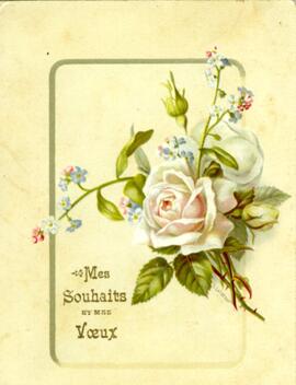 Carte de souhaits, couleur, rose blanche, Mes souhaits et mes voeux, «Mes meilleurs souhaits pour une bonne et heureuse année, Héloïse».