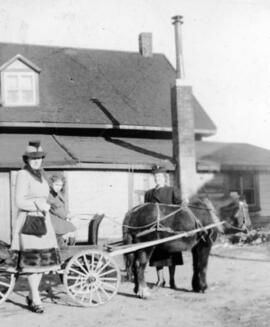 Trois personnes avec un petit cheval