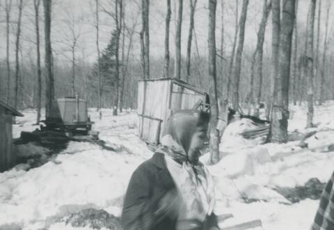 Original Document numérique not accessible