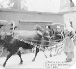 Cheval tirant un véhicule