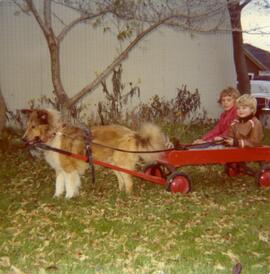 Michel Vohl et Jasmin Vohl (cousins) dans un chariot tiré par un chien