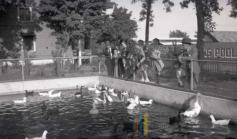 Original Document numérique not accessible