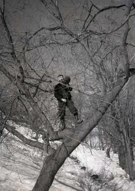 Aux sucres chez M Lefrancois