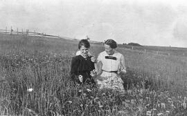 Marguerite dans les marguerite