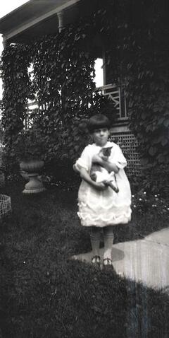 Original Document numérique not accessible