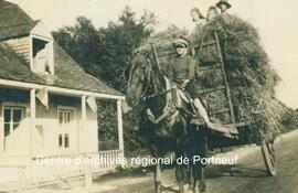 103 rue Chavigny - cheval trainant voiture de foin - filigrane CARP