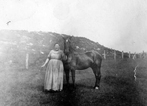 Original Document numérique not accessible