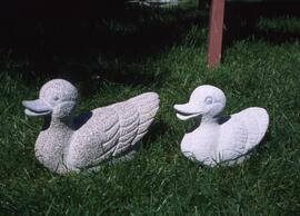 Canards