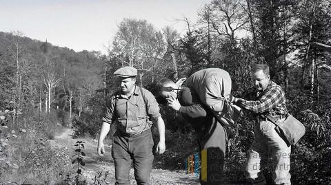 Original Document numérique not accessible