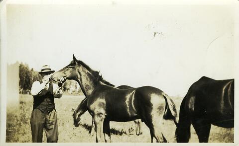 Original Digital object not accessible