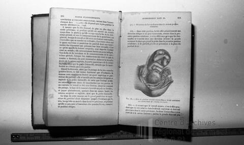 Original Document numérique not accessible