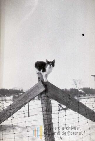 Original Document numérique not accessible