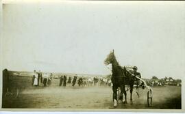 Cheval de course de Fortunat Vohl au rond de course de St-Marc