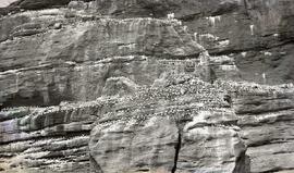 Gaspésie - Voyage avec ministre Rochette