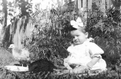 Original Document numérique not accessible