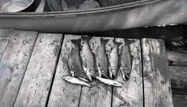 Au club Tourilli avec Alex Germain Joseph Cantin Édouard Piché et Louis Germain