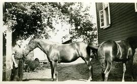 Adrien Vohl chez son père avec les chevaux
