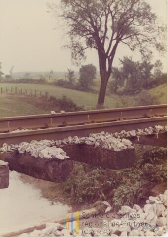 Original Document numérique not accessible