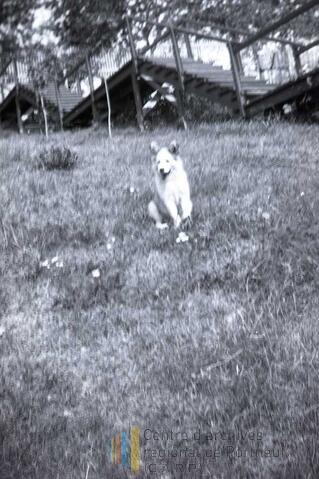 Original Document numérique not accessible