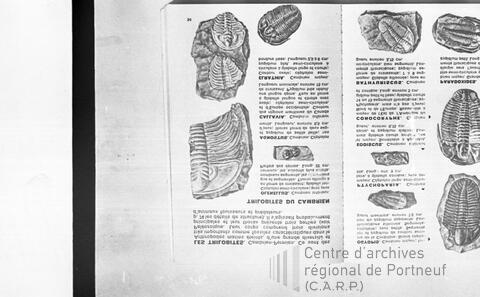 Original Document numérique not accessible