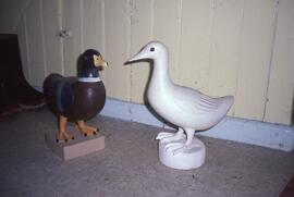 Canards