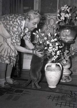 Mme Paquet son chat et ses fleurs