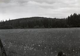 Mont-Laura