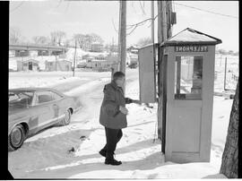 Québec téléphone Donnacona - Poissons des Chenaux