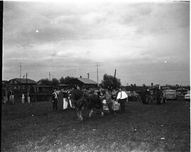 Tir de chevaux