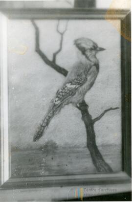 oiseau Gai bleu