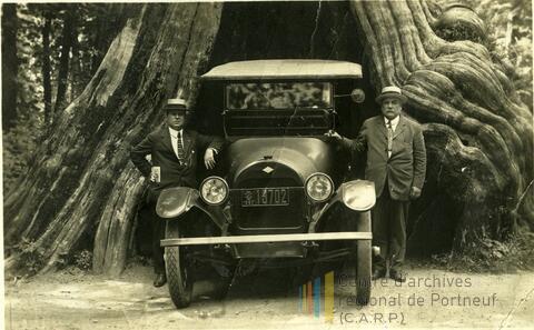 Original Document numérique not accessible