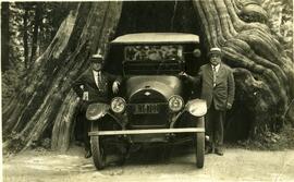 Charles Laganière dans l’ouest canadien, voiture sous un comore